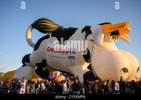 Albuquerque, Usa. Oktober 2024. Airabelle die Creamland Cow wird während des Special Shape Rodeo beim 52. Jährlichen Albuquerque International Balloon Fiesta im Balloon Fiesta Park am 11. Oktober 2024 in Albuquerque, New Mexico, aufgebläht. (Foto: Sam Wasson/SIPA USA) Credit: SIPA USA/Alamy Live News Stockfoto