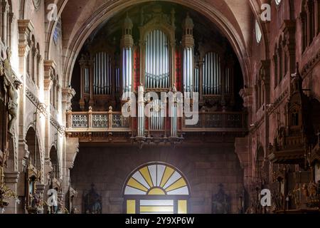 Frankreich, Vogesen, St. die Vosges, St. Martin Kirche, erbaut 1896 vom Architekten Charles Heubes, 1902 im neo-römischen Stil eingeweiht, die Orgel von Henri Didier aus Colmar gebaut, der Fall wurde vermutlich von Jacques Alfred Klem aus Colmar gefertigt Stockfoto