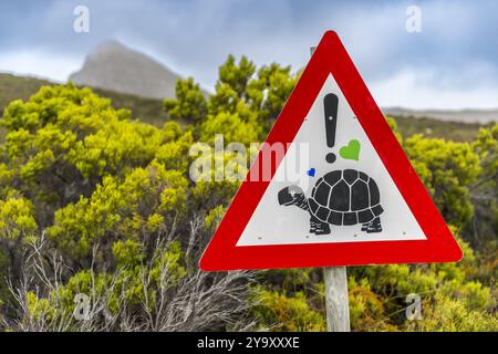 Südafrika, Westkap, Kap der Guten Hoffnung, Good Hope National Park Nature Reserve, Schildkrötenwarnschild Stockfoto