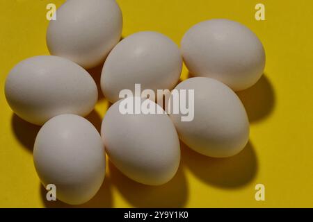 Nahaufnahme einer Gruppe weißer Hühnereier auf gelbem Hintergrund. Stockfoto