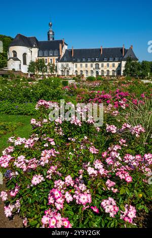 Frankreich, Somme, Argoules, Les jardins de Valloires, die Jardins de Valloires befinden sich im Authie-Tal am Fuße einer majestätischen Zisterzienserabtei und sind das Werk des Landschaftsgärtners Gilles Clément. Die Jardins de Valloires, die als bemerkenswerter Garten gelistet sind, sind eine Schatzgrube mit über 5.000 Arten, die auf 8 Hektar verteilt sind. Es gibt nicht nur einen, sondern fünf stimmungsvolle Gärten, die Sie besuchen können, wenn sich die Jahreszeiten ändern (aus der Vogelperspektive) Stockfoto