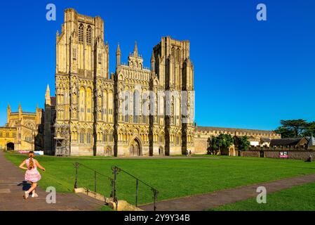 Die Westfront der Wells Cathedral in somerset ist von der Sonne am späten Nachmittag beleuchtet Stockfoto