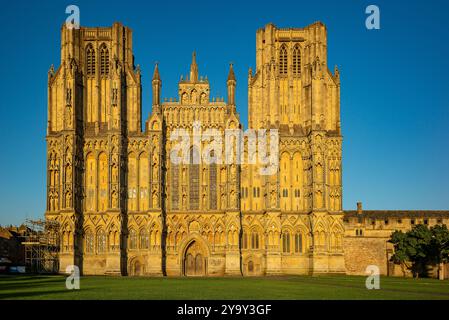 Die Westfront der Wells Cathedral in somerset ist von der Sonne am späten Nachmittag beleuchtet Stockfoto