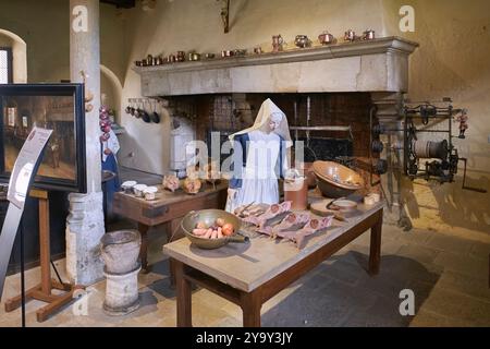 Frankreich, Cote d'Or, Burgund Klimata, die von der UNESCO zum Weltkulturerbe erklärt wurden, Beaune, Hospices de Beaune, Hotel Dieu, die Küche mit dem gotischen Doppelkamin Stockfoto