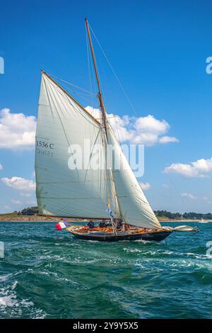 Frankreich, Morbihan, Golf von Morbihan, Arzon, Port Navalo, Pen Duick, Auric Cutter, Eric Tabarly's erstes Segelboot, große Parade der alten Takelage, Gulf Week, Ausgabe 2023 Stockfoto