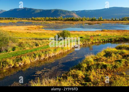 Corn Creek Feuchtgebiete vom Bird Tower auf Songbird Walk, Creston Valley Wildlife Management Area, British Columbia, Kanada Stockfoto