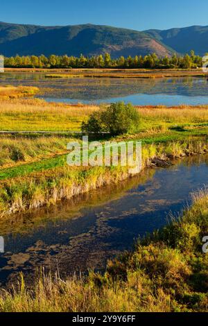 Corn Creek Feuchtgebiete vom Bird Tower auf Songbird Walk, Creston Valley Wildlife Management Area, British Columbia, Kanada Stockfoto