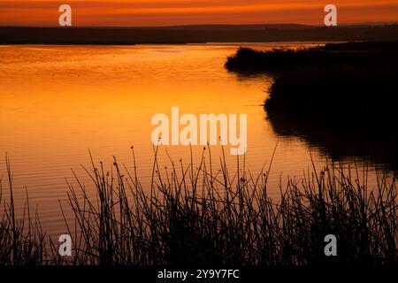 Burbank Slough Sunrise, McNary National Wildlife Refuge, Washington Stockfoto