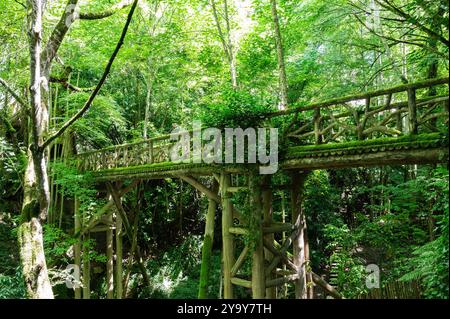 Frankreich, Loir-et-Cher (41), Val de Loire classé Patrimoine Mondial par l'UNESCO, Chaumont-sur-Loire, domaine du château de Chaumont-sur-Loire, Festival international des jardins 2024, pont au-dessus du vallon des Brumes Stockfoto