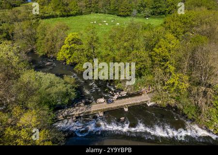 Frankreich, Vendee, Chanverrie, Radfahren auf der Radroute Vendée Vélo Tour, Überquerung der Brücke pont du Guy über den Fluss Sèvre Nantaise unweit des Moulin de la Garde (aus der Vogelperspektive) Stockfoto