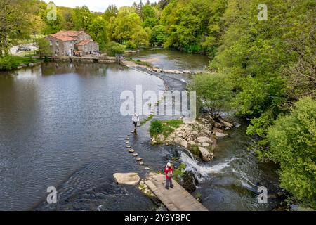 Frankreich, Vendee, Saint-Malô-du-Bois, Poupet-Tal, Mühle des gasthauses Poupet am Ufer des Flusses Sèvre Nantaise, Fording (aus der Vogelperspektive) Stockfoto