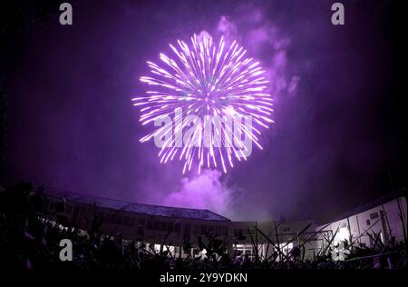 Purple Firework Explosion in the Night Sky: A Moment of Celebration and Magic Under the Stars. Stockfoto