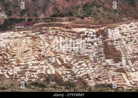 Terrassen-Salinen, auch bekannt als „ Salinas de Maras“, im Heiligen Tal der Anden in Cusco, Peru. Stockfoto