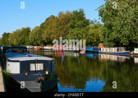 Der Fluss Lea in der Nähe von Upper Clapton, Hackney, London, Großbritannien, im Oktober mit Schmalbooten Stockfoto