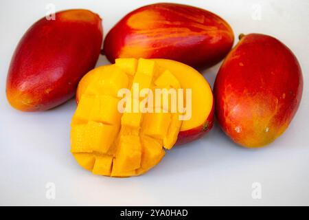 Brasilianische Mangos der Palmer-Art, reif und isoliert Stockfoto