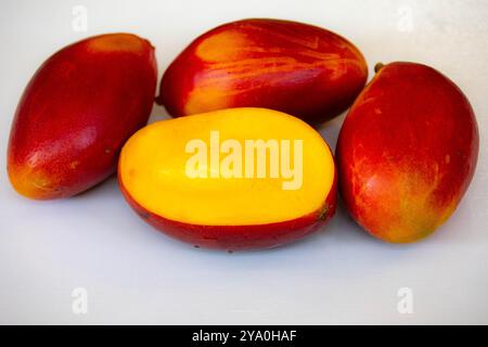 Brasilianische Mangos der Palmer-Art, reif und isoliert Stockfoto