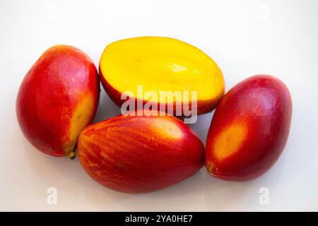 Brasilianische Mangos der Palmer-Art, reif und isoliert Stockfoto