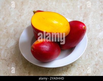 Brasilianische Mangos der Palmer-Art, reif und isoliert Stockfoto