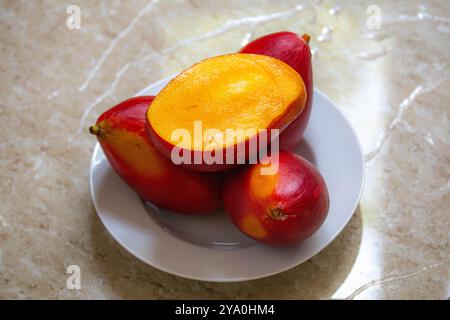 Brasilianische Mangos der Palmer-Art, reif und isoliert Stockfoto