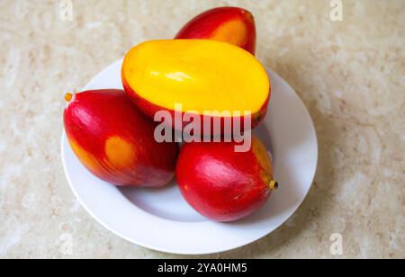 Brasilianische Mangos der Palmer-Art, reif und isoliert Stockfoto