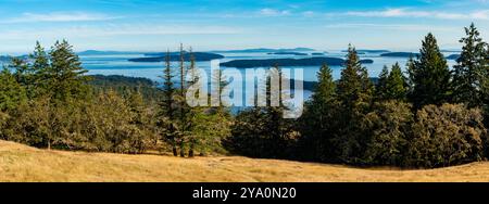 Blick nach Süden von Reginald Ridge, Blick auf andere Gulf Islands, Salt sprng Island, BC, Kanada. Stockfoto