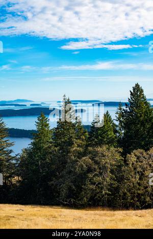 Blick nach Süden von Reginald Ridge, Blick auf andere Gulf Islands, Salt sprng Island, BC, Kanada. Stockfoto