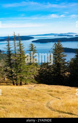 Blick nach Süden von Reginald Ridge, Blick auf andere Gulf Islands, Salt sprng Island, BC, Kanada. Stockfoto