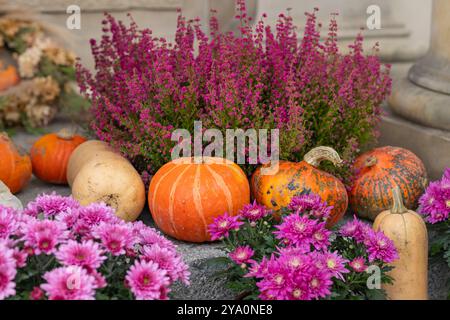 Helle Herbstkürbisse mit leuchtenden rosa Blüten und Heidekraut auf einer dekorativen Außenpräsentation. Konzept der Herbstsaison und Erntefeier Stockfoto