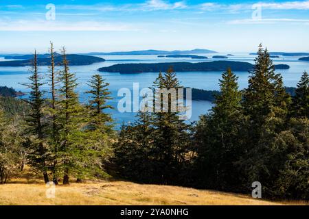 Blick nach Süden von Reginald Ridge, Blick auf andere Gulf Islands, Salt sprng Island, BC, Kanada. Stockfoto