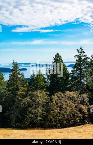 Blick nach Süden von Reginald Ridge, Blick auf andere Gulf Islands, Salt sprng Island, BC, Kanada. Stockfoto