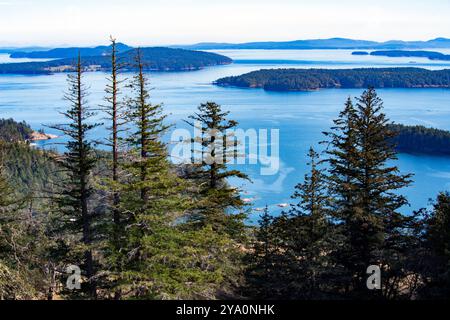 Blick nach Süden von Reginald Ridge, Blick auf andere Gulf Islands, Salt sprng Island, BC, Kanada. Stockfoto