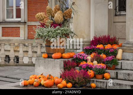 Herbstdekorative Ausstellung von Kürbissen, bunten Blumen und getrockneten Pflanzen auf Stufen vor dem historischen Gebäude. Das Konzept der saisonalen Dekoratin Stockfoto