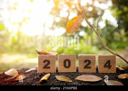 Auf Wiedersehen 2024 Konzept. Holzblöcke in natürlichem Hintergrund bei Sonnenuntergang. Stockfoto