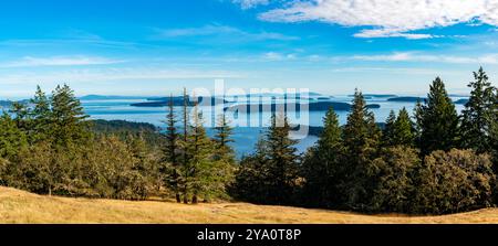 Blick nach Süden von Reginald Ridge, Blick auf andere Gulf Islands, Salt Spring Island, BC, Kanada. Stockfoto