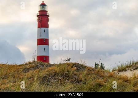 Der markante Leuchtturm, der in kräftigen rot-weißen Streifen gemalt ist, steht vor einem Hintergrund aus weichen Wolken, während ein kleiner Vogel die erkundet Stockfoto