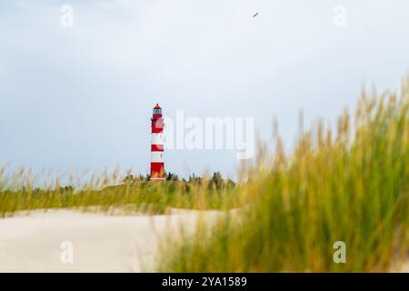 Über dem Sandstrand erhebt sich ein leuchtender Leuchtturm in rot-weißem Design, umgeben von üppigen grünen Gräsern unter einem bewölkten Himmel, der Frieden schafft Stockfoto