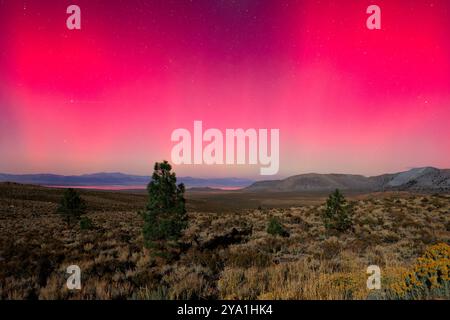 Oktober 20024. Mono Lake, CA. Die Lichter von Aurora Borealis, die Nordlichter, erscheinen über Mono Lake, Kalifornien. Stockfoto