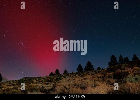 Oktober 20024. Mono Lake, CA. Die Lichter von Aurora Borealis, die Nordlichter, erscheinen über Mono Lake, Kalifornien. Stockfoto