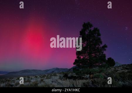 Oktober 20024. Mono Lake, CA. Licht von Aurora Borealis erhellen die Nordlichter den Himmel in der Nähe von Mono Lake, Kalifornien. Stockfoto