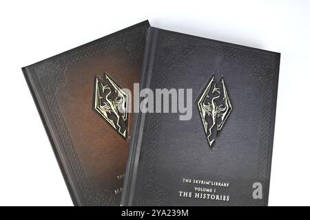 The Elder Scrolls: Skyrim Library Books – Wales, Großbritannien – 09. Oktober 2024 Stockfoto