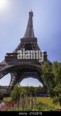 Blick auf den Eiffelturm von unten mit blühenden Pflanzen im Vordergrund an einem sonnigen Tag, Paris Stockfoto