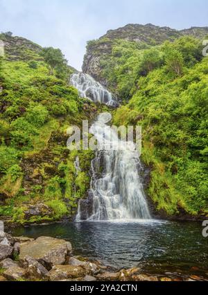 Ein beeindruckender Wasserfall fließt über Felsen in einen klaren Fluss, umgeben von üppigem Grün, Assaranca Waterfall Stockfoto