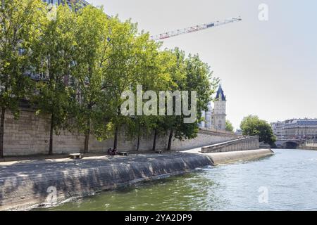 Von Baeumen gesaeumtes Flussufer und ein Blick auf die historische Architektur, Paris Stockfoto