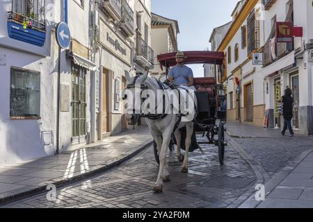 Eine Pferdekutsche fährt an einem sonnigen Tag auf einer Kopfsteinpflasterstraße entlang historischer Gebäude, Cordoba Stockfoto