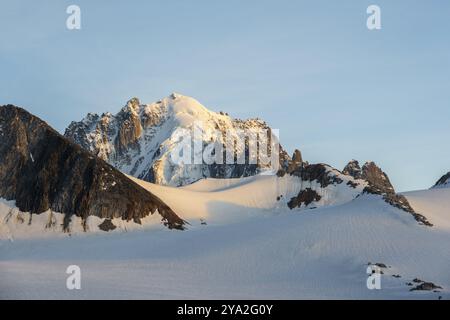 Hochalpine Berglandschaft bei Sonnenuntergang, Glacier du Tour, Gletscher und Berggipfel im Abendlicht, Gipfel der Aiguille Verte, Chamonix, Ha Stockfoto