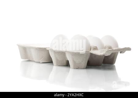 Sechs weiße Hühnereier in einem Eierkarton Stockfoto
