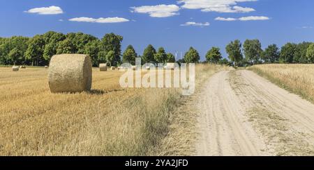 Schotterweg durch landwirtschaftliche Landschaft mit Getreidefeldern mit Strohballen bei Horndorf in der Ostheide, Niedersachsen, Deutschland Schotterweg durch agr Stockfoto