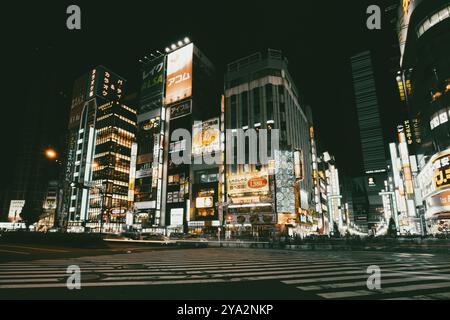 Shinjuku, Japan, 18. Mai 2019: Neonschilder beleuchten Tokios geschäftiges Stadtviertel Shinjuku bei Nacht entlang der Yasukuni-dori Ave mit Menschenmassen in Asien Stockfoto