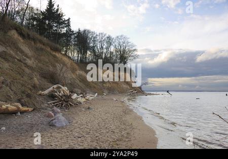 Das Brodtener Steilufer ist ein ca. 4 km langer Küstenstreifen der Lübecker Bucht in Schleswig-Holstein, der durch das Ostseebad reso begrenzt wird Stockfoto