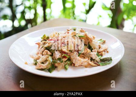 Pomelo und Hähnchensalat in thailand Stockfoto